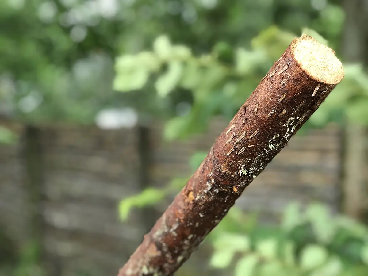 Rafter med bark kl. A  Ø6-9 x 220 cm