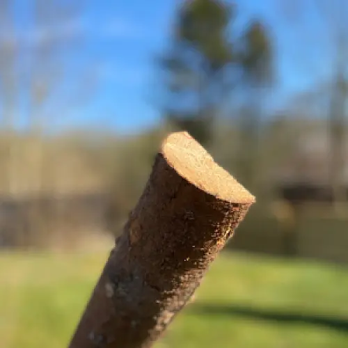 Flækket rafter med bark, kl A - Ø6-9 x 220 cm