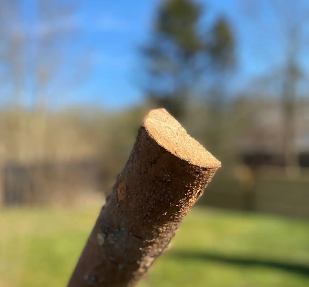 Flækket rafter med bark, kl A - Ø6-9 x 220 cm