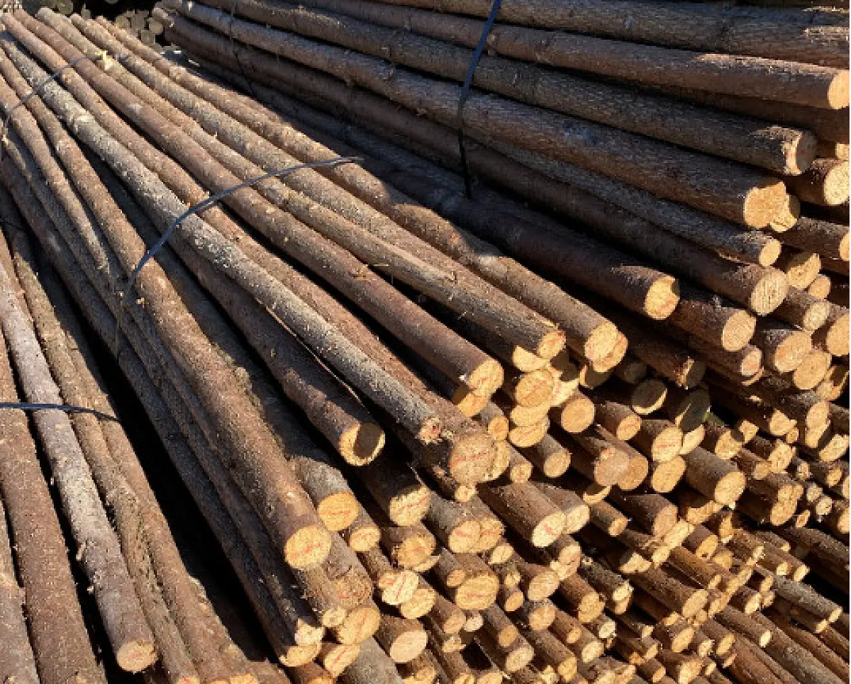 Rafter med bark, 2nd sort.- Ø4-8 x 220 cm DBA (ej returbare) - 250 stk