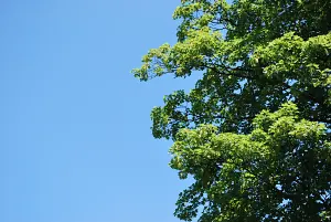 R4u58NDXveJh44JnPPqQJp7DVCXoleLTcwCY83oy