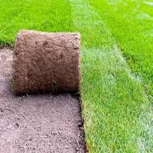 Rullegræs - NY græsplæne