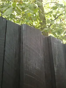 hbsOgytJ1eAGtXfrdzWlqBhxBbfTV6GYgVesaWyI